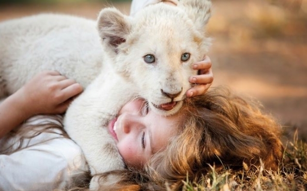 Immagine 4 - Mia e il Leone bianco, foto del film
