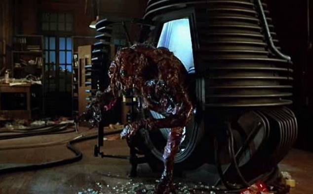 Immagine 28 - La mosca (The Fly), foto e immagini del film di David Cronenberg con Jeff Goldblum e Geena Davis