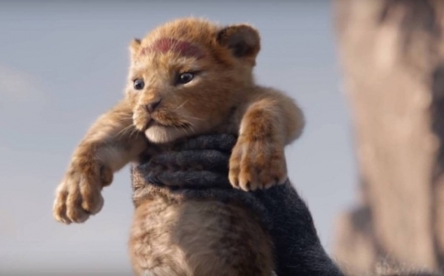 Immagine 21 - Il Re Leone, immagini e disegni tratti dal film Walt Disney del 2019