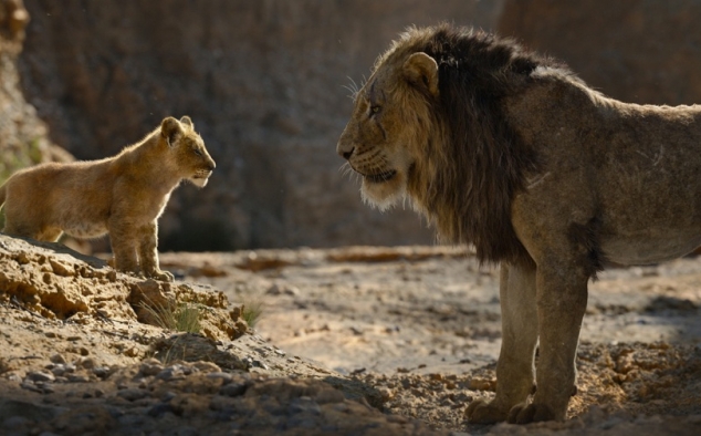 Immagine 5 - Il Re Leone, immagini e disegni tratti dal film Walt Disney del 2019