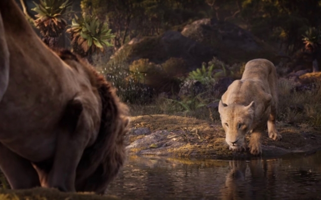 Immagine 6 - Il Re Leone, immagini e disegni tratti dal film Walt Disney del 2019