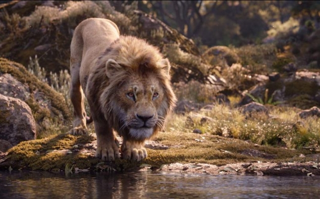 Immagine 7 - Il Re Leone, immagini e disegni tratti dal film Walt Disney del 2019