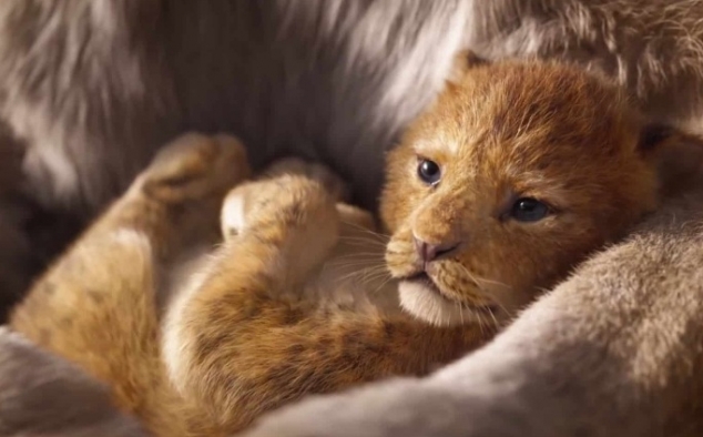 Immagine 8 - Il Re Leone, immagini e disegni tratti dal film Walt Disney del 2019