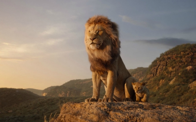 Immagine 11 - Il Re Leone, immagini e disegni tratti dal film Walt Disney del 2019