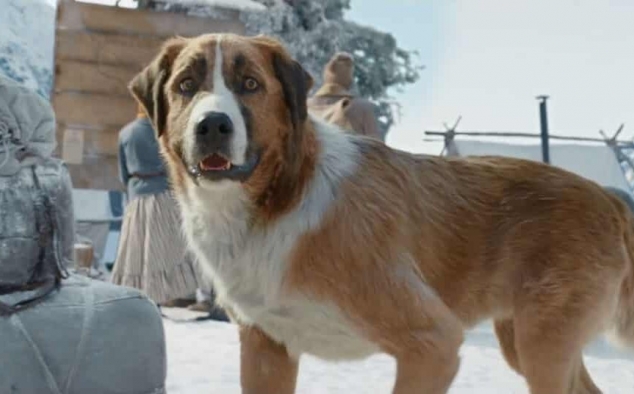 Immagine 2 - Il Richiamo della Foresta (2020), foto del film tratto da romanzo di Jack London