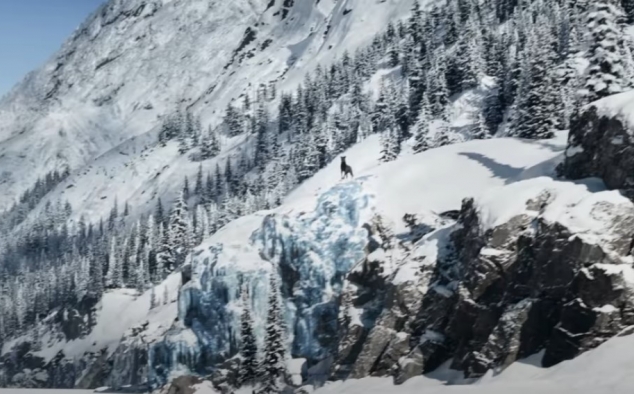 Immagine 12 - Il Richiamo della Foresta (2020), foto del film tratto da romanzo di Jack London