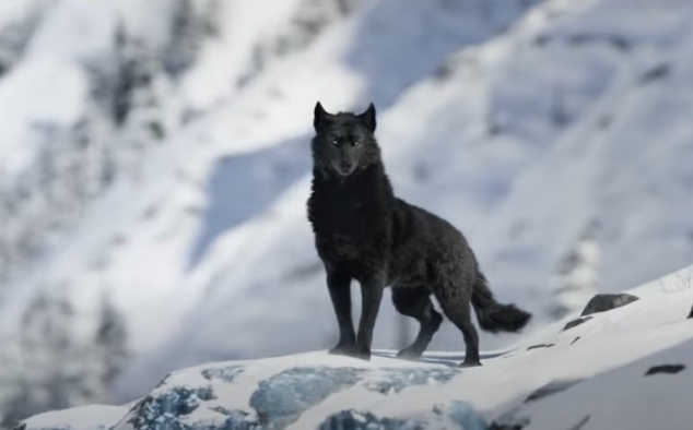 Immagine 13 - Il Richiamo della Foresta (2020), foto del film tratto da romanzo di Jack London