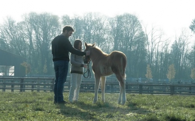 Immagine 13 - Il mio amico Tempesta, immagini del film di Christian Duguay con Mélanie Laurent e Carmen Kassovitz