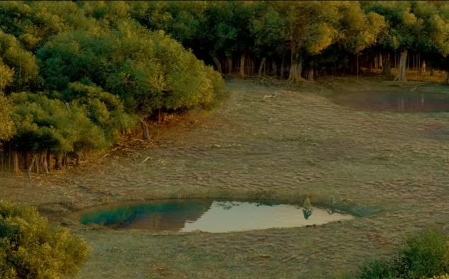 Immagine 13 - Vita di Pi (2012), foto e immagini del film del di Ang Lee con Suraj Sharma, Rafe Spall, Irrfan Khan, Gérard Depardieu
