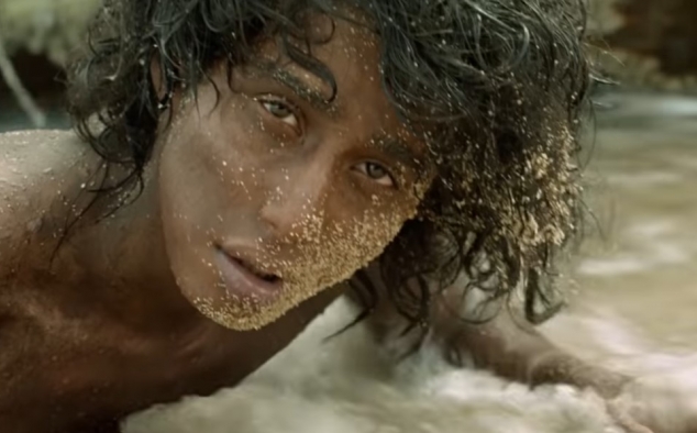 Immagine 14 - Vita di Pi (2012), foto e immagini del film del di Ang Lee con Suraj Sharma, Rafe Spall, Irrfan Khan, Gérard Depardieu