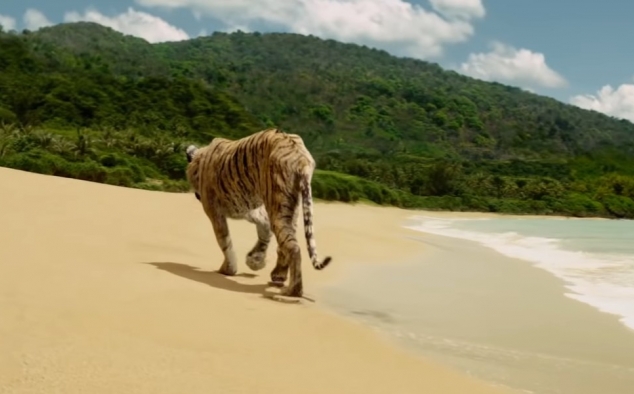Immagine 17 - Vita di Pi (2012), foto e immagini del film del di Ang Lee con Suraj Sharma, Rafe Spall, Irrfan Khan, Gérard Depardieu