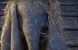 Immagine Dumbo, foto del film di Tim Burton con Colin Farrell, Michael Keaton, Danny De Vito, Eva Green