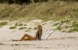 Immagine Paradise Beach- Dentro l’incubo, foto e immagini