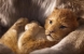 Primo trailer del nuovo film Disney in uscita la prossima estate, Il re leone
