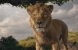 Mufasa: Il Re Leone, arriva al cinema il prequel de Il Re Leone del 2019