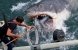 Lo squalo, tutti i film con protagonista un enorme squalo bianco