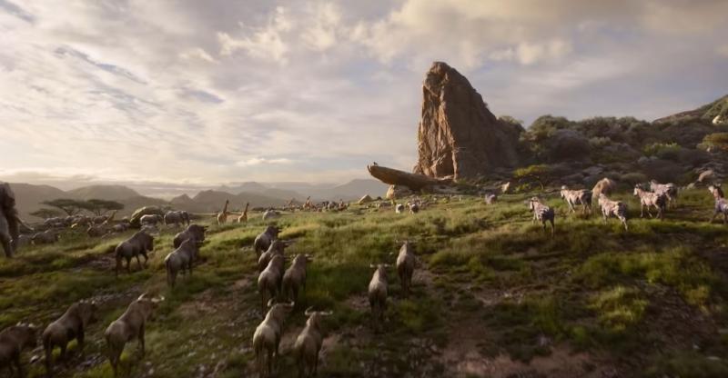 nuovo film Disney, trailer ufficiale, uscita, Il re leone