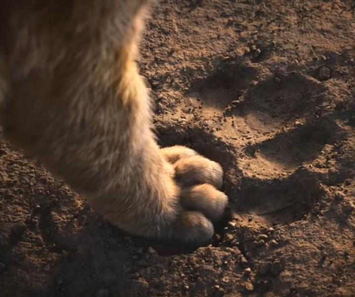 nuovo film Disney, trailer ufficiale, uscita, Il re leone