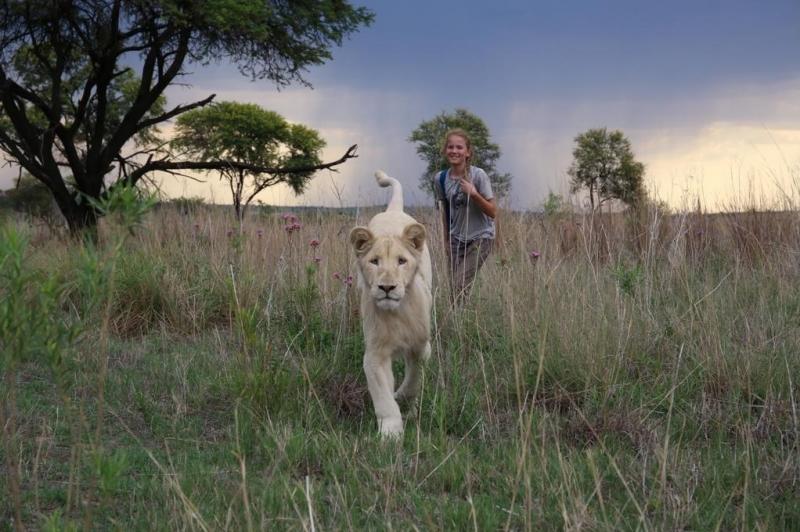 Mia e il Leone Bianco, zoo animali, uscita