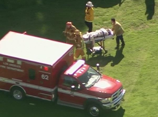 Harrison Ford incidente