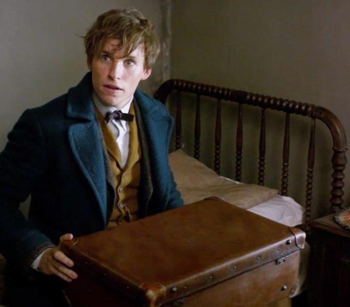 Newt Scamander Eddie Redmayne