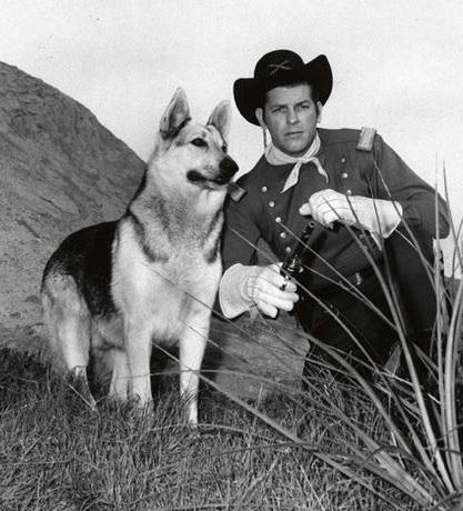 cani cinema
