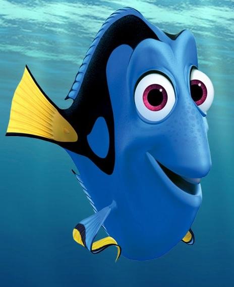 Alla ricerca di Dory