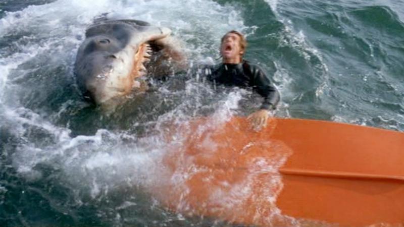 Lo squalo, film tutti saga
