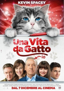 Una vita da gatto