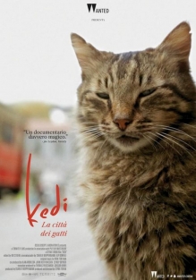 Kedi. La città dei gatti