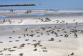 Immagine 2 - Dunkirk, foto dal set del film