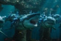 Immagine 12 - Aquaman, foto e immagini tratte dal film con Jason Momoa