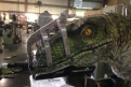 Immagine 25 - Jurassic World, foto