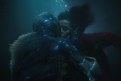 Immagine 24 - La Forma dell'Acqua - The Shape of Water, foto ed immagini del film di Guillermo del Toro