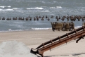 Immagine 30 - Dunkirk, foto dal set del film