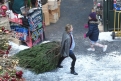 Immagine 13 - Bridget Jones's Baby, foto e immagini del film