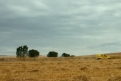 Immagine 19 - Sono tornato, foto e immagini del film