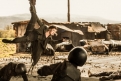 Immagine 6 - Resident Evil 6 - The Final Chapter, immagini e foto del film