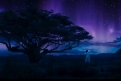 Immagine 6 - Black Panther, foto e immagini del film Marvel