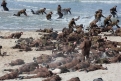 Immagine 10 - Dunkirk, foto dal set del film