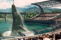 Immagine 10 - Jurassic World, foto