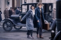 Immagine 25 - Animali Fantastici e dove trovarli, foto e immagini del film