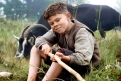 Immagine 8 - Heidi, foto del film