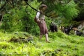 Immagine 10 - Heidi, foto del film