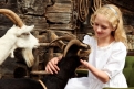 Immagine 5 - Heidi, foto del film
