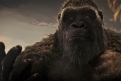 Immagine 18 - Godzilla vs. Kong, foto e immagini del film di Adam Wingard con Millie Bobby Brown, Rebecca Hall, Alexander Skarsgård, Kyle Chan