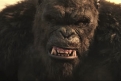 Immagine 20 - Godzilla vs. Kong, foto e immagini del film di Adam Wingard con Millie Bobby Brown, Rebecca Hall, Alexander Skarsgård, Kyle Chan