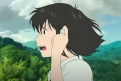 Immagine 6 - Belle, immagini e disegni del film anime giapponese di Mamoru Hosoda prodotto da Studio Chizu