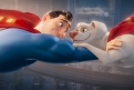 Immagine 4 - DC League of Super-Pets, immagini e disegni del film animazione DC Entertainment doppiato da Keanu Reeves