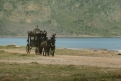 Immagine 4 - La Stranezza, foto e immagini del film di Roberto Andò con Ficarra & Picone, Toni Servillo, Donatella Finocchiaro